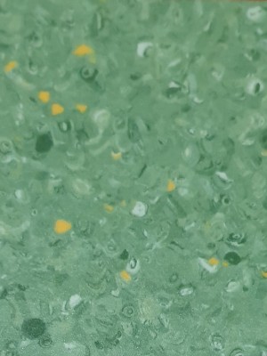 HOMOJEN PVC 2 GRABO FORTİS WİLD İGUANA ( GRUP T )